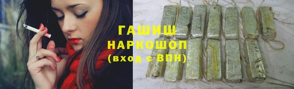 хмурый Мегион