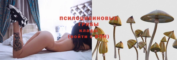 хмурый Мегион