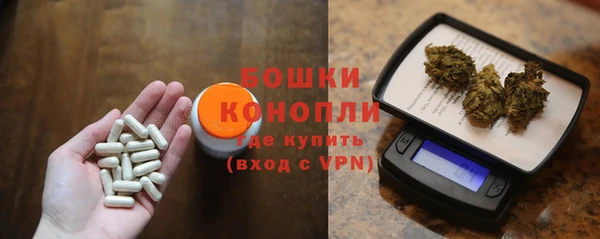 хмурый Мегион