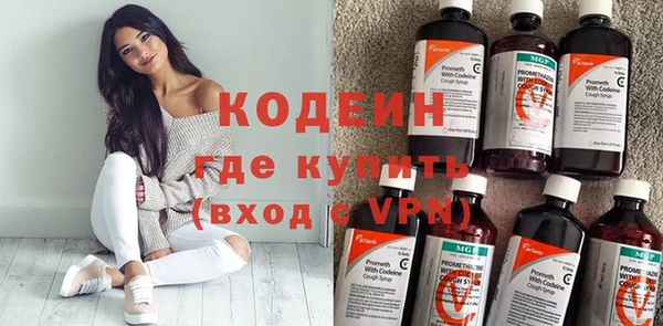 хмурый Мегион