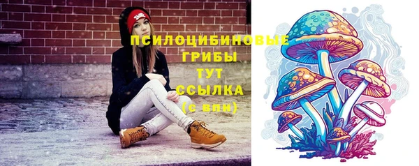 хмурый Мегион
