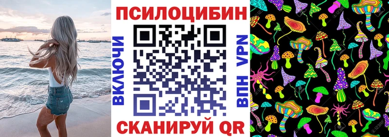 закладки  Разумное  Галлюциногенные грибы GOLDEN TEACHER 
